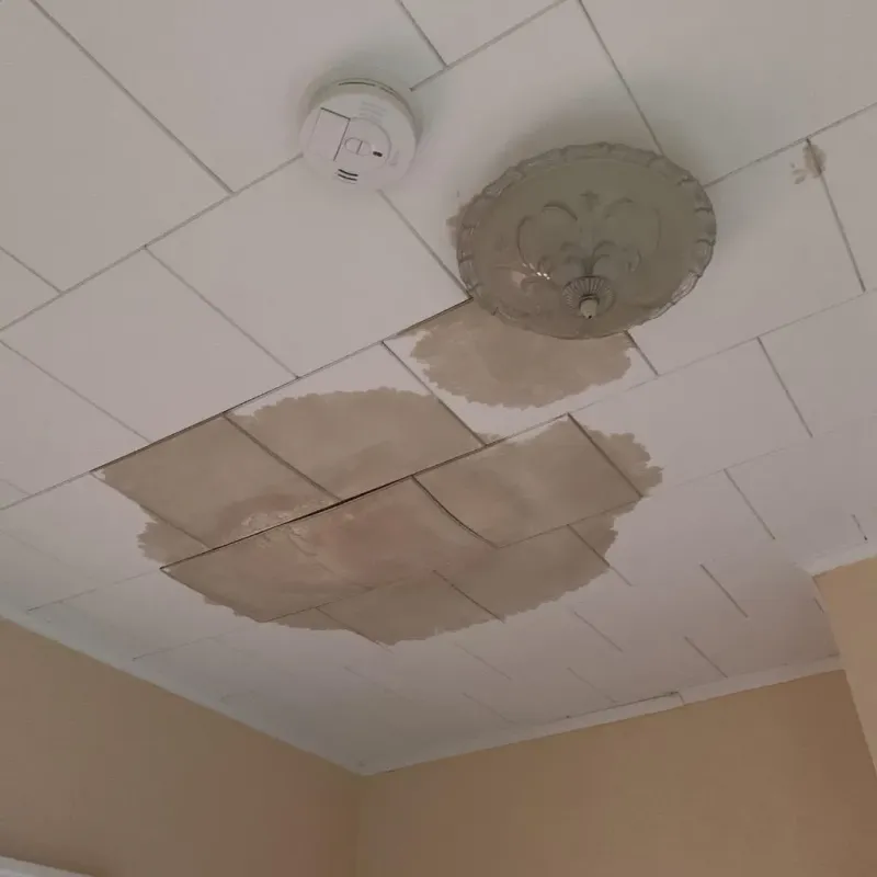 Ceiling Water Damage Repair in Fort Gaines, GA