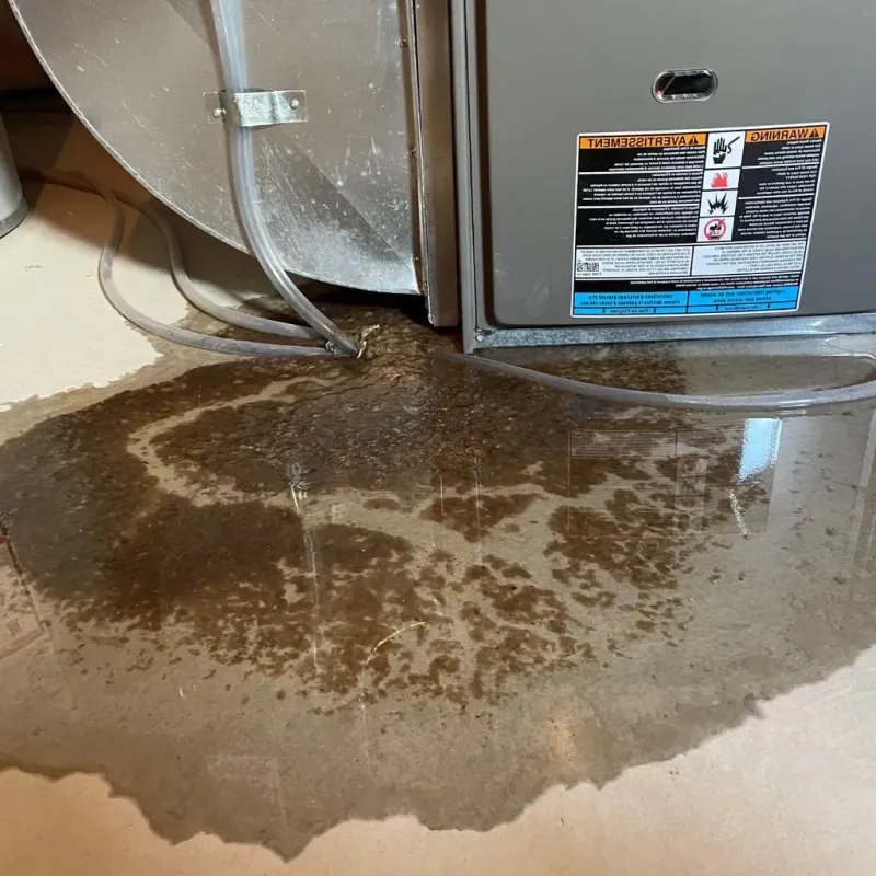 Pipe Burst and Leak Restoration in Fort Gaines, GA