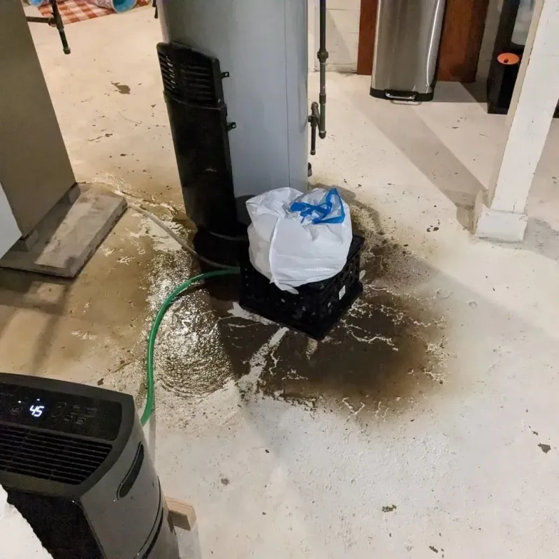 Sewage Backup Cleanup Service in Fort Gaines, GA